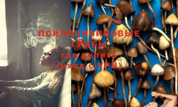 МДПВ Лихославль