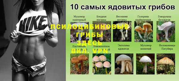 ПСИЛОЦИБИНОВЫЕ ГРИБЫ Лиски