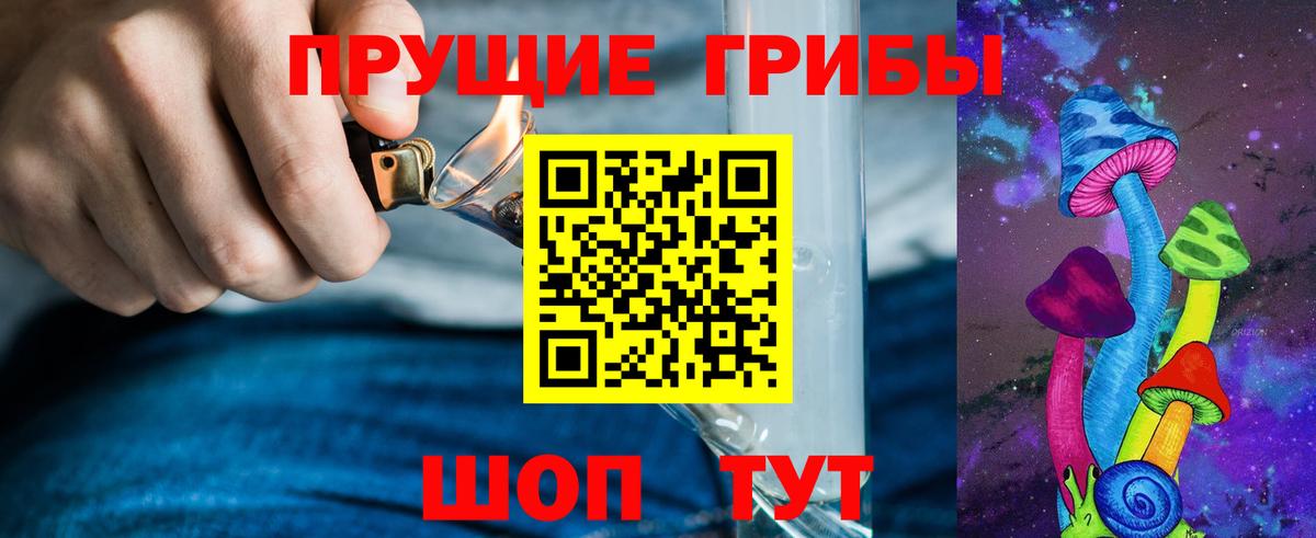 Псилоцибиновые грибы Psilocybine cubensis Туапсе